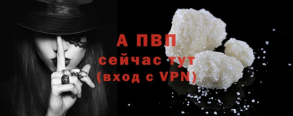 трава Тавда