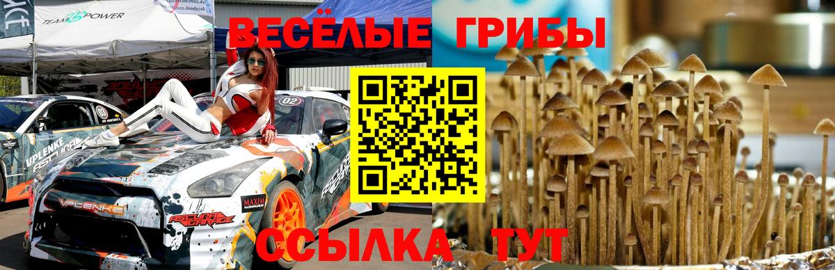 Псилоцибиновые грибы Magic Shrooms  Вход с VPN  Копейск  Галлюциногенные грибы Magic Shrooms 